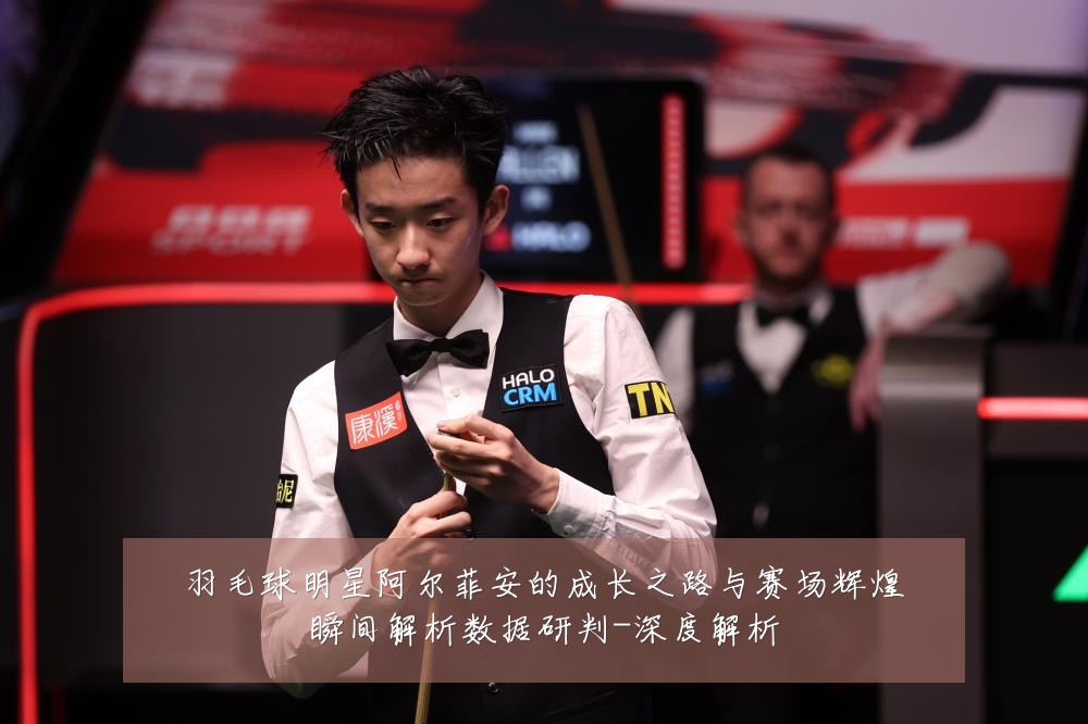 羽毛球明星阿尔菲安的成长之路与赛场辉煌瞬间解析数据研判-深度解析